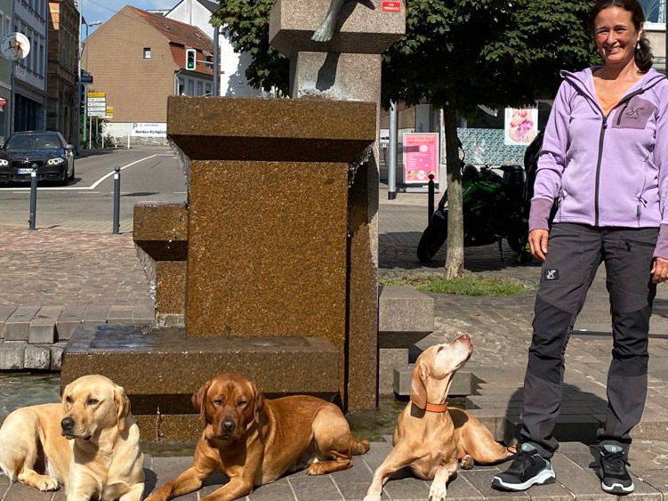 SyRi's Hundeschule